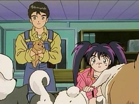 A boy and his dogs