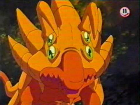Tiger - wo bist du?