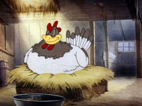 Tom und das dumme Huhn
