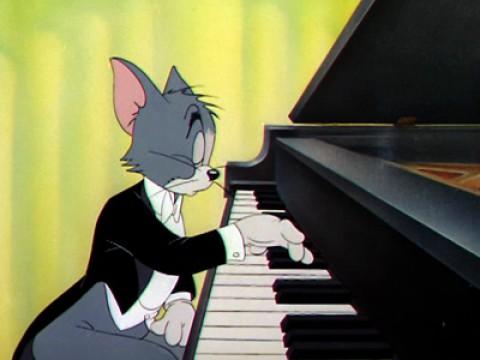 Tom gibt ein Konzert