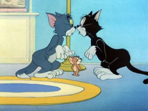 Tom und Jerry könnens nicht lassen