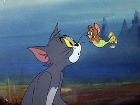Tom und die Meermaus