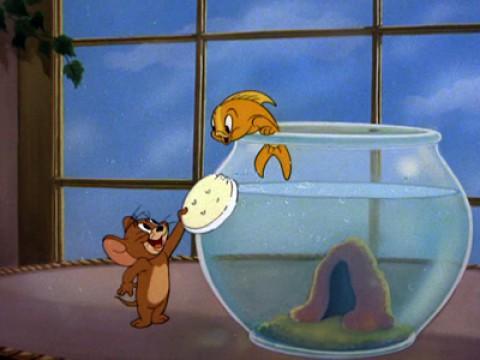Mein Freund der Goldfisch