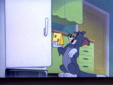 Tom nicht Maus und nicht Kater