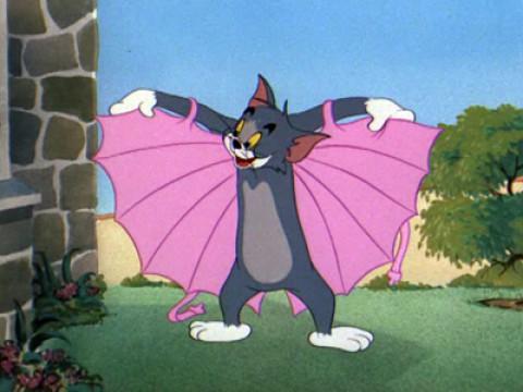 Der fliegende Kater