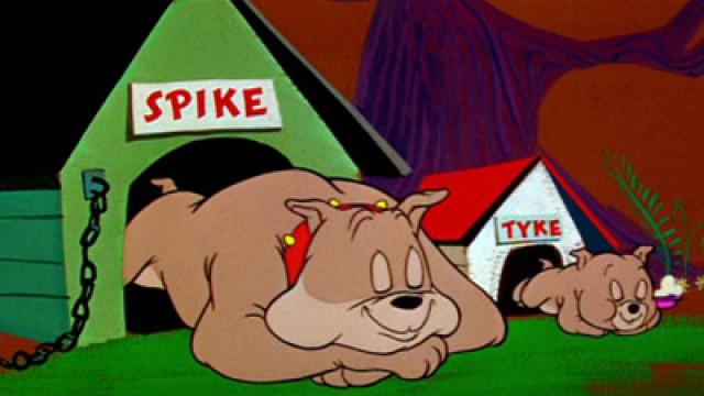 Späße mit Spike