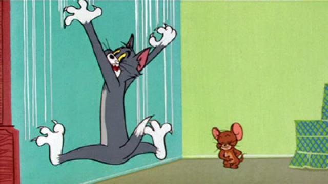 Besuch für Tom