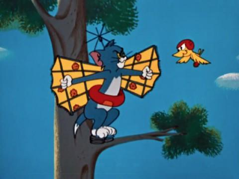 Tom auf Vogeljagd