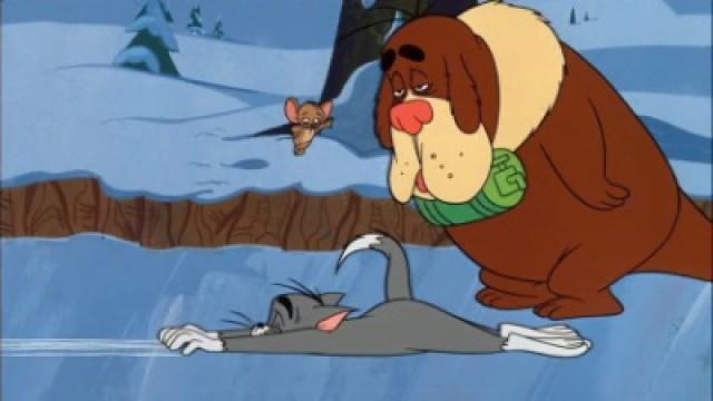 Tom und der kleine Wau-Wau