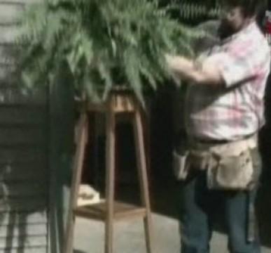 Plant Stand