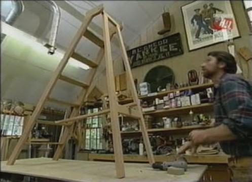 Library Ladder