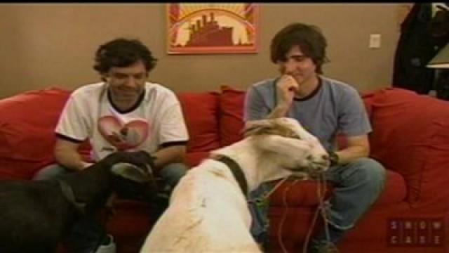 Who Can Be Tied to a Goat the Longest?