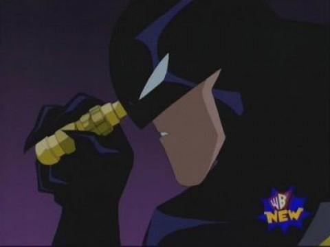 La gatta e il pipistrello