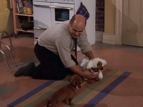Norm Pimps Wiener Dog