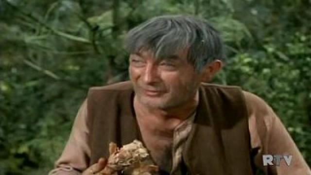 Chibola