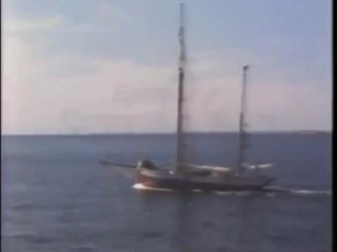 Setting Sail / Expedition 2: Whalewatch