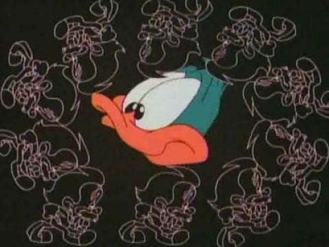 Na szaleństwa nigdy nie jest za późno / Kichaś / Bip czy nie bip