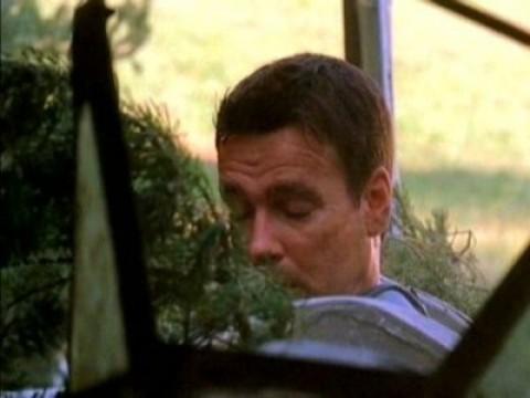 A Tangled Webb - Part II (4)