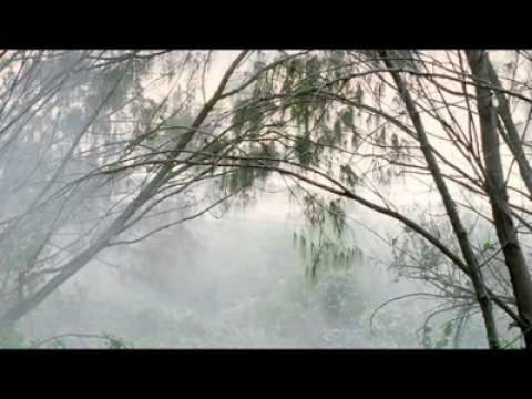 Tears of the Sea