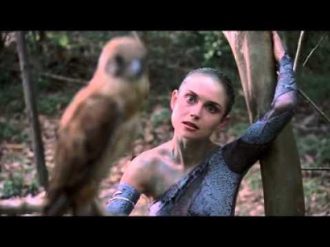 Birds