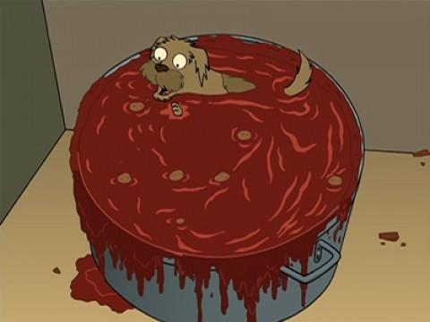 Cuore di cane