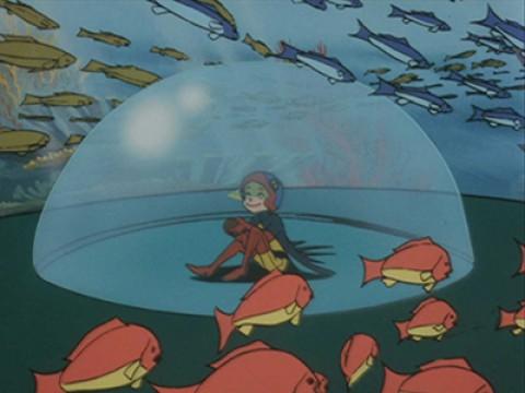 The Secret of the Crescent Coral Reef