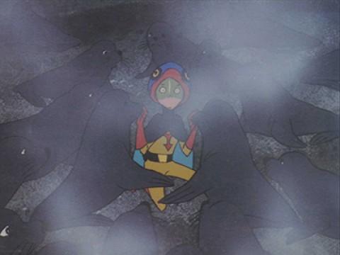 The Sea Lion Ninja Team in the Night Fog