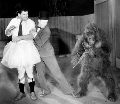 The Chimp