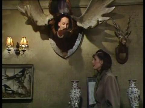 Flight of Fancy