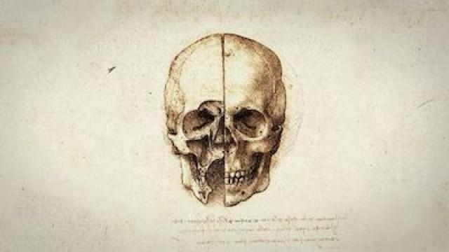 Leonardo: The Man Who Saved Science