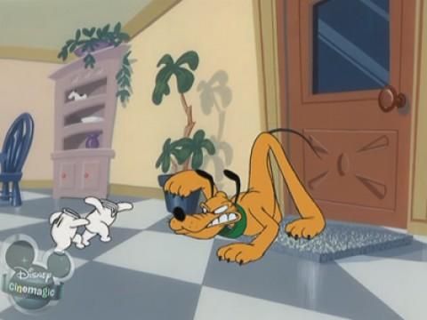 Lo show di Timon e Pumbaa
