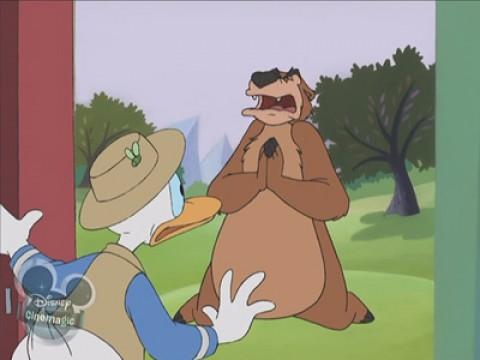 Non così Pippo