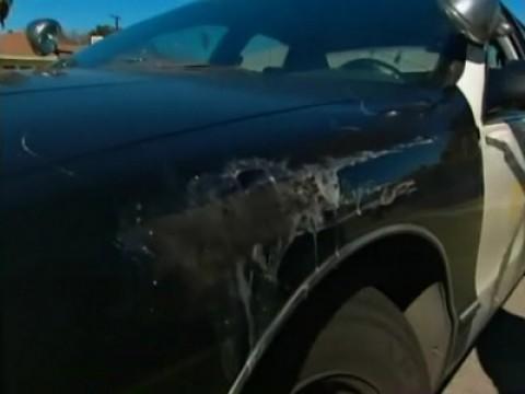 Tom’s Chevy Caprice Cop Car (1996)