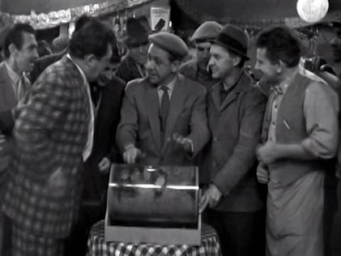 The Raffle