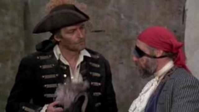 Der Piratenschatz