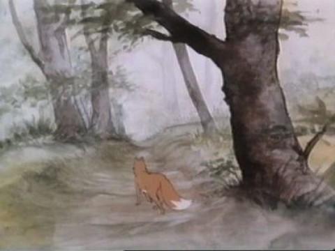 Addio bosco natio