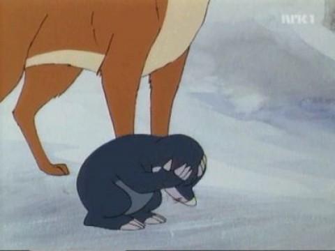 Un inverno particolare