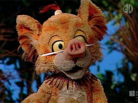 Pigs, Pigs, Pigs! / The Three Little Pigs