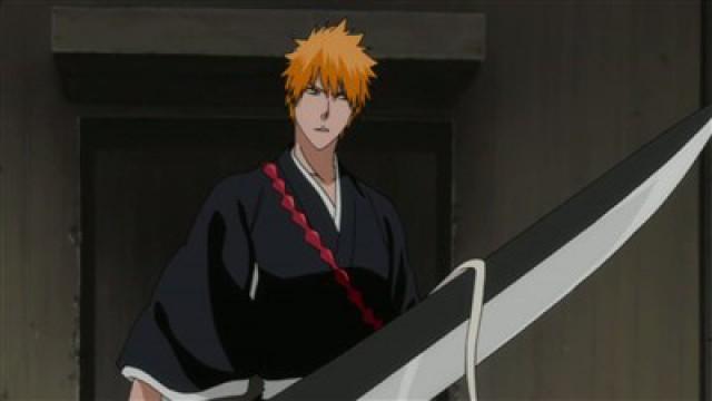 ¡Gotei 13, Encuentro en el mundo real!