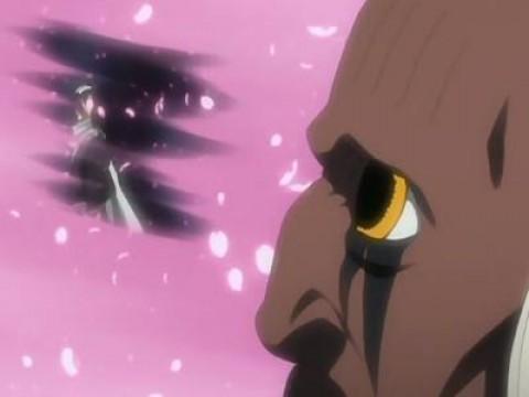El bankai de Byakuya, ira silenciosa