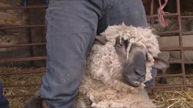 Return to River Cottage (3)