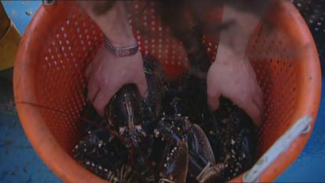 Return to River Cottage (5)