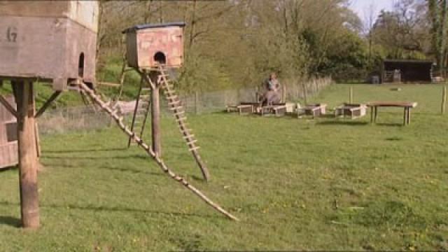 River Cottage Forever (2)