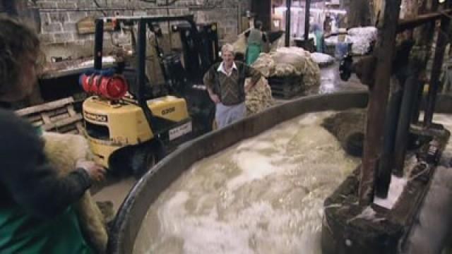 Beyond River Cottage (2)