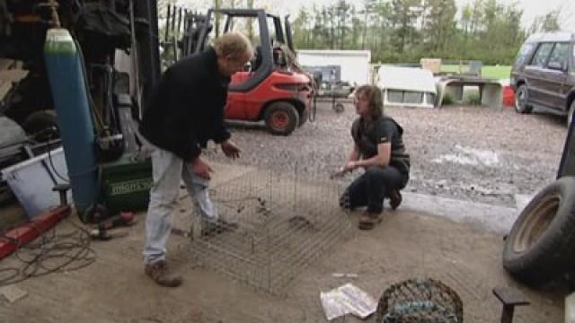 Beyond River Cottage (4)