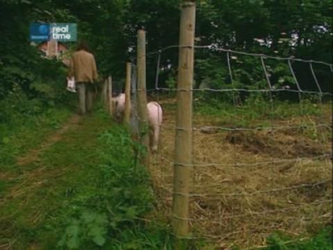 Escape to River Cottage (1)