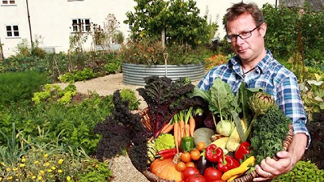 Veg Heroes (14)