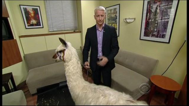 Anderson Cooper, Nick Offerman, The Knux