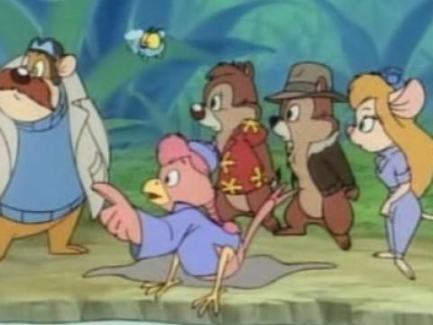 Chi ha detto che sono pazzo?