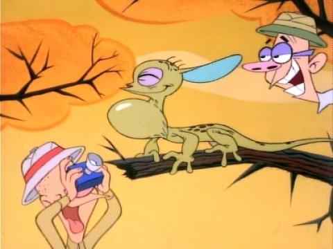 A Cartoon (a.k.a. Untamed World)